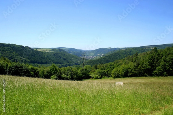 Obraz grüne landschaft