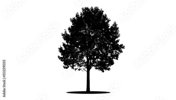 Fototapeta Silhouette of a tree (3)
