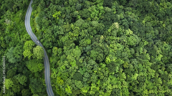 Obraz Electric cars to protect the environment and transportation road of Top view road in beautiful Rain forest with natural background, landscape view from flying drone in Nature