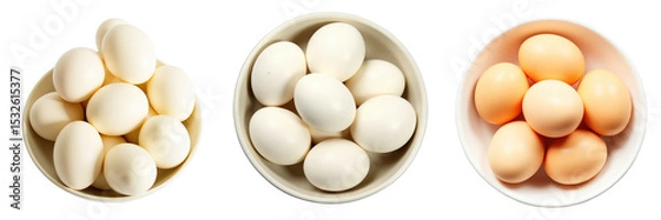 Obraz variety of eggs in three different bowls isolated on a transparent background displaying white and brown eggs in different sizes and arrangements