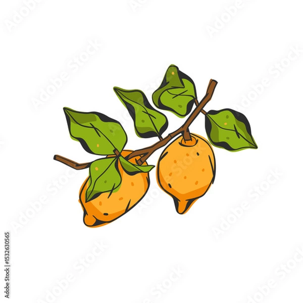 Fototapeta Hand drawn abstract vector graphic illustration collection with stylized lemon branch fruit in cartoon drawing style.Trendy modern juicy fruit design concept.Vector line fruit symbol icon.