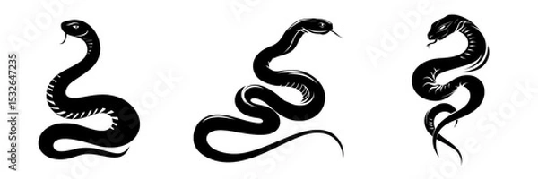 Fototapeta A snake graphic icon is represented by a modern illustration of its black silhouette on a white background