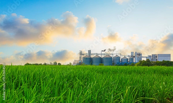 Fototapeta Industrial factories and green rice fields in the morning,View of a factory in the middle of a green farmland in the early morning twilight ~ Factory pipes polluting air in a silent morning, a serious