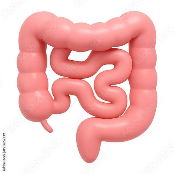 Fototapeta human intestines 3d render icon isolated on transparent background cutout