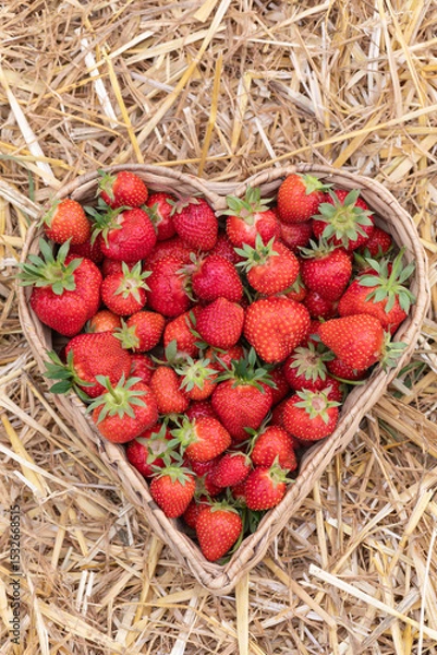 Fototapeta Erdbeeren in Herzform im Korb auf dem Stroh.