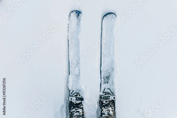 Fototapeta Two skis parallel in snow from above
