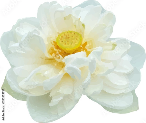 Obraz lotus pink flower blooming13