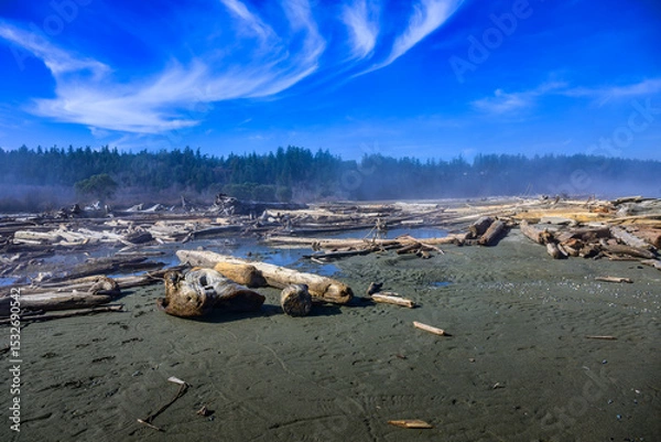 Fototapeta 2025-02-28 THE IVERSON TRAIL PRESERVE WITH A SNAD BEACH AND DOWNED DRIFT WOOD AND A MORNING FOG HANGING  OVER THE AREA AND A BLUE SKY WITH LIGHT CLOUDS ON CAMANO ISLAND WASHINGTON