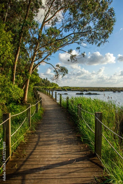 Fototapeta Hiking way on wooden platform, among a bay and green forest, on background of sky with clouds, national park , pedestrian paths of Aveiro Portugal
