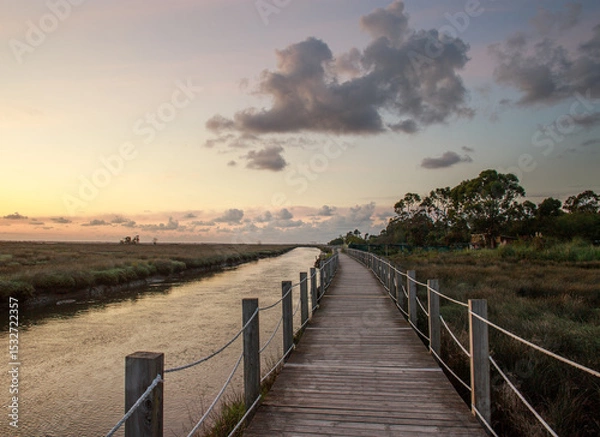 Fototapeta Hiking way on wooden platform, among a bay and green forest, on background of sky with clouds, national park , pedestrian paths of Aveiro Portugal