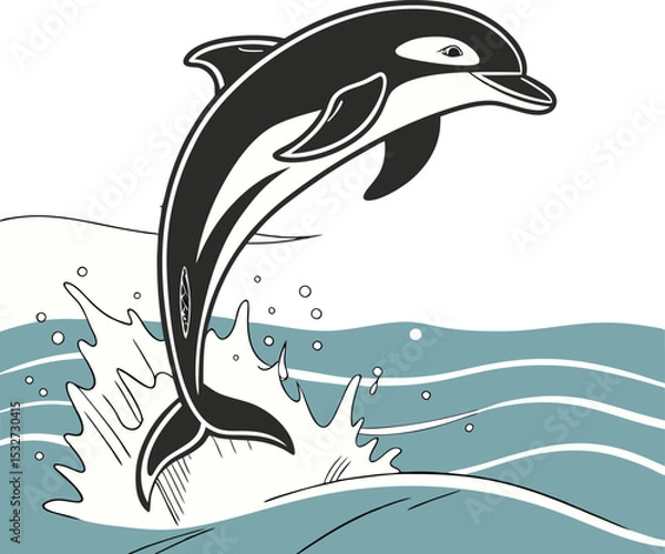 Obraz Dolphin 5