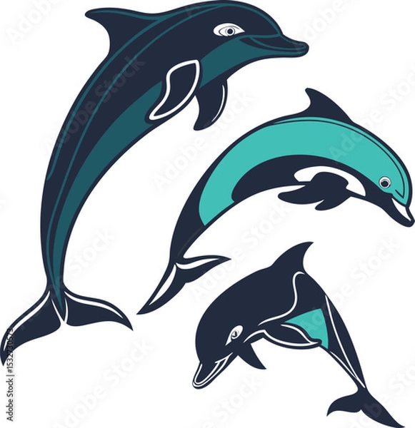 Obraz Dolphin 9