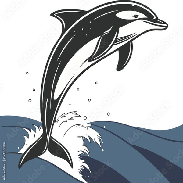 Obraz Dolphin 23
