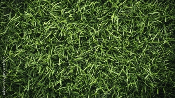 Obraz Close-up of fresh green grass with sharp blades in a natural texture