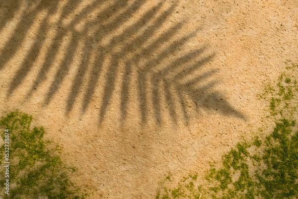 Fototapeta Natural shadow of a palm frond cast over a sandy textured surface with green moss accents and tropical ambiance..