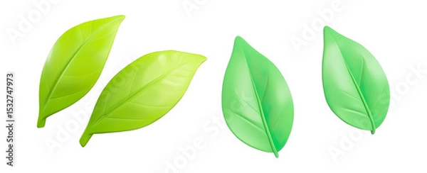 Obraz 3D Three Green Leaves Isolated on White on a Transparent Background