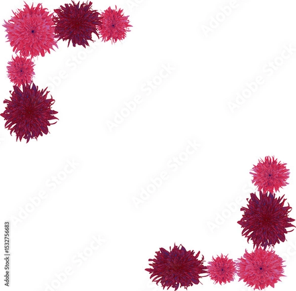 Fototapeta A Delicate Corner Border of Vibrant Pink and Crimson Pom-Pom Flowers, Perfect for Festive Designs and Invitations