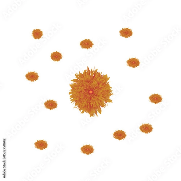 Obraz A Striking Arrangement of Orange Flowers: A Central Bloom Surrounded by Smaller Companions in a Symmetrical Design.