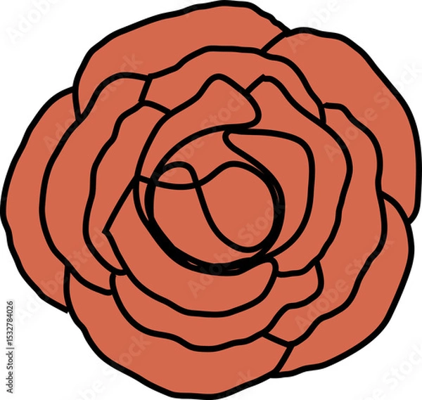 Fototapeta Flat design rose is blooming with layered coral petals and bold outlines on transparent background
