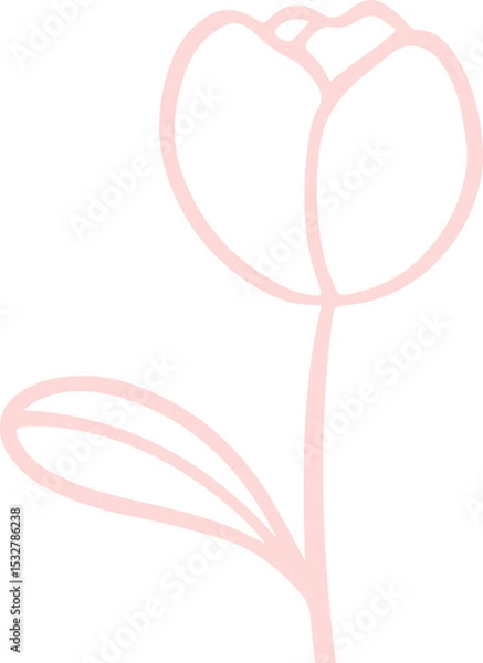 Fototapeta Stylized flower is being shown in minimalist line art, with pale pink outline on transparent canvas
