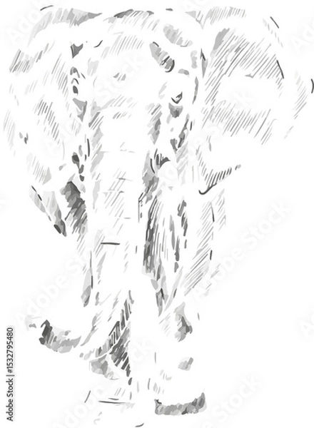 Fototapeta Elephant is being shown in pen-and-ink sketch with scribbled shading, transparent background