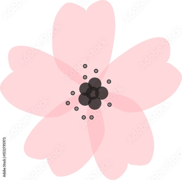 Fototapeta Vector-style pink blossom is floating on transparent background, showing six petals and stamen dots