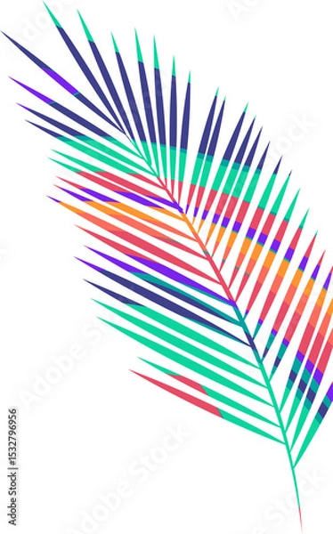 Fototapeta Stylized palm frond vector is showing multicolored gradient leaflets on transparent background