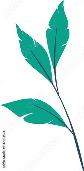 Fototapeta Stylized branch with three green leaves is being shown in flat vector style, transparent background