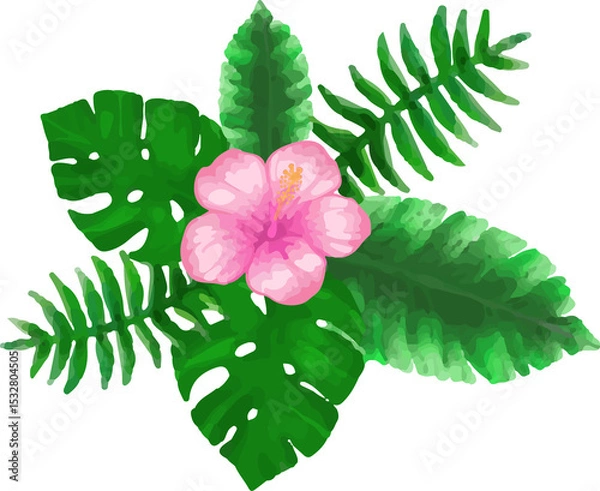 Fototapeta Flat botanical art is featuring pink hibiscus on transparent backdrop with monstera and fern leaves