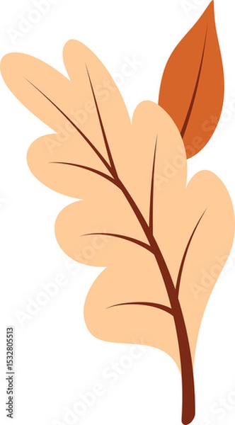 Fototapeta Peach oaklike leaf and orange elongated leaf are overlapping in flat design, transparent background