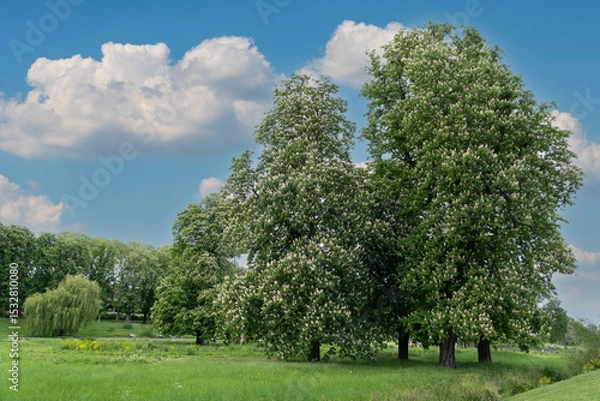 Obraz Unterer Schlossgarten Stuttgart