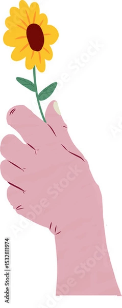 Fototapeta Disembodied pink hand is holding sunflower with green stem on transparent background flat style