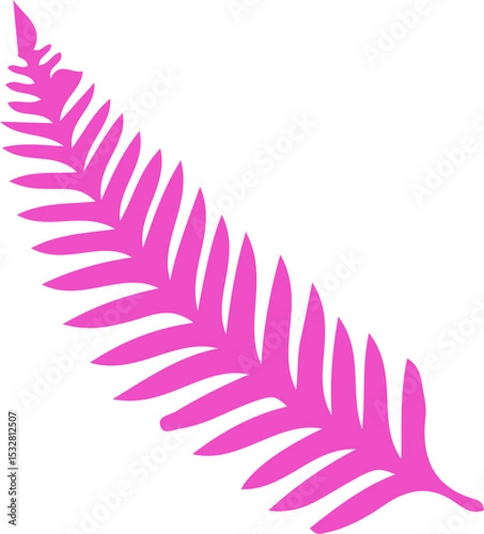 Obraz Pink fern-like frond is sitting diagonally on flat design showing leaflets, transparent background