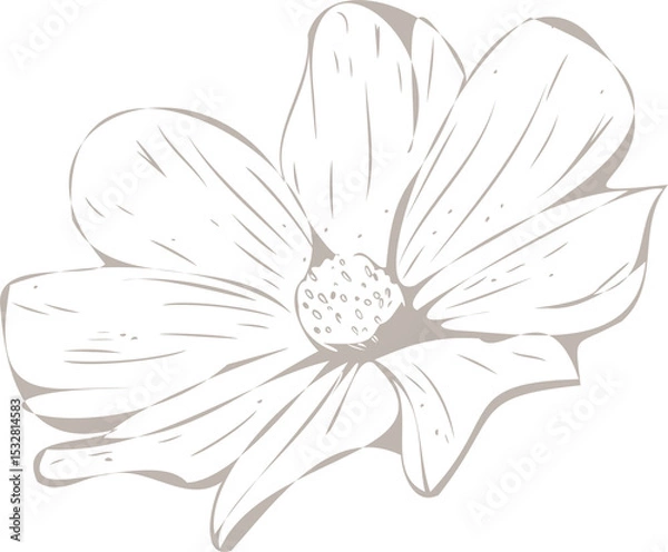 Obraz Vector showing daisy-like flower with eight petals, textured center on transparent backdrop