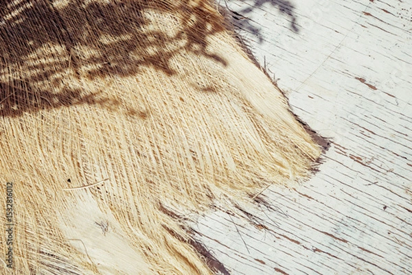 Fototapeta Palm bark texture with dry lavender shadow. Summer minimal background for beauty, spa and beach lifestyle creative idea. Earthy sustainable botanical pattern decor.