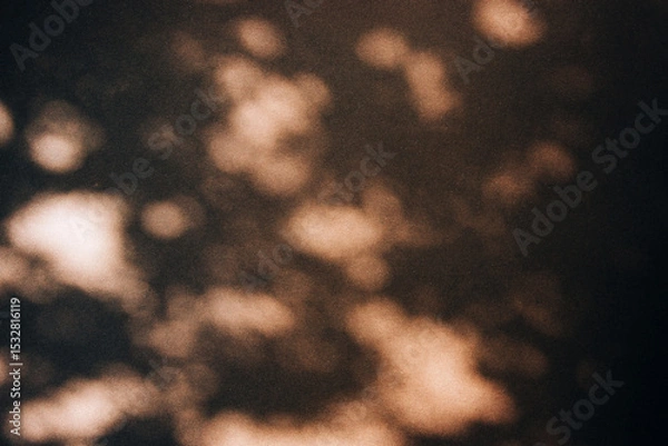 Fototapeta Summer background with sunlight bokeh shadow on the brown wall. Plant shade overlay backdrop. Beach mood wallpaper creative idea.