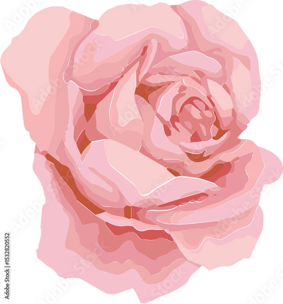 Fototapeta Fully bloomed pink rose is floating in flat vector style with layered petals on clear background