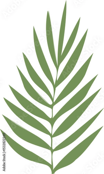 Fototapeta Stylized green fern frond is being shown in flat design illustration on transparent background
