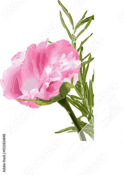 Fototapeta Pink peony bloom is displaying petals, foliage and translucent tape against transparent background