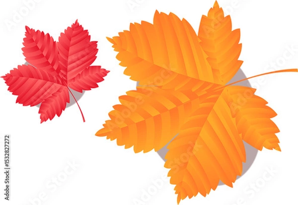 Fototapeta Two autumn leaves floating on transparent background in flat design, showing gradient shading