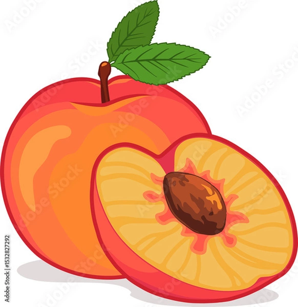 Fototapeta Cartoon style peaches are showing skin gradient and textured pit on transparent background