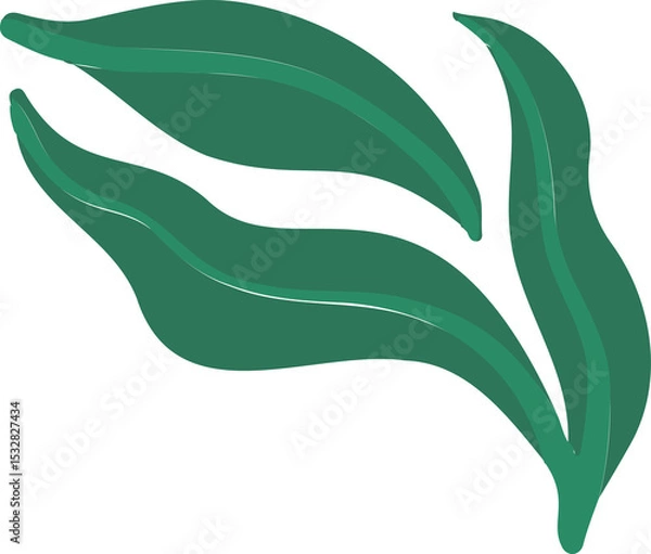 Obraz Showing vector featuring four overlapping green leaves with light midribs on transparent background