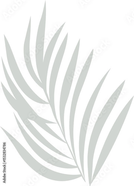 Fototapeta Presenting palm frond silhouette with radiating leaflets in flat vector on transparent background