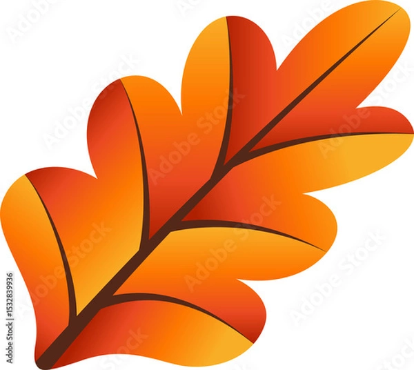 Fototapeta Oak-like leaf is floating in flat vector on transparent background showing warm gradient lobes