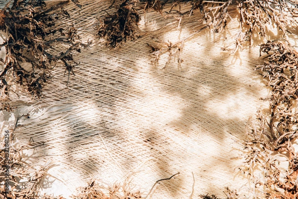 Fototapeta Top view of light palm bark texture and dry floral decor with sunlight bokeh shadow overlay pattern. Summer beach aesthetic wallpaper in boho style  for sustainable fashion and beauty mockup template