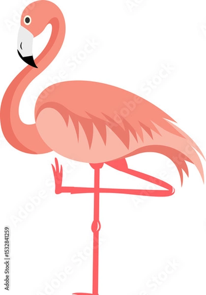 Fototapeta Flat vector flamingo is floating on transparent background, showing curved neck and coral plumage