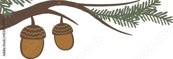 Obraz Two acorns are hanging from pine branch in flat vector style on transparent background