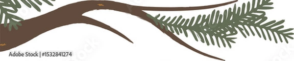 Fototapeta Conifer limb extending in flat design, showing pine needle clusters, transparent background
