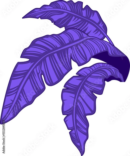 Obraz Cluster of purple stylized banana leaves is forming flat design on transparent background