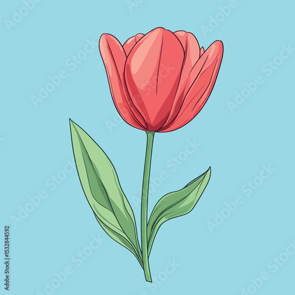 Obraz Vibrant Red Tulip with Green Leaves and Detailed Outlines on Blue (1)